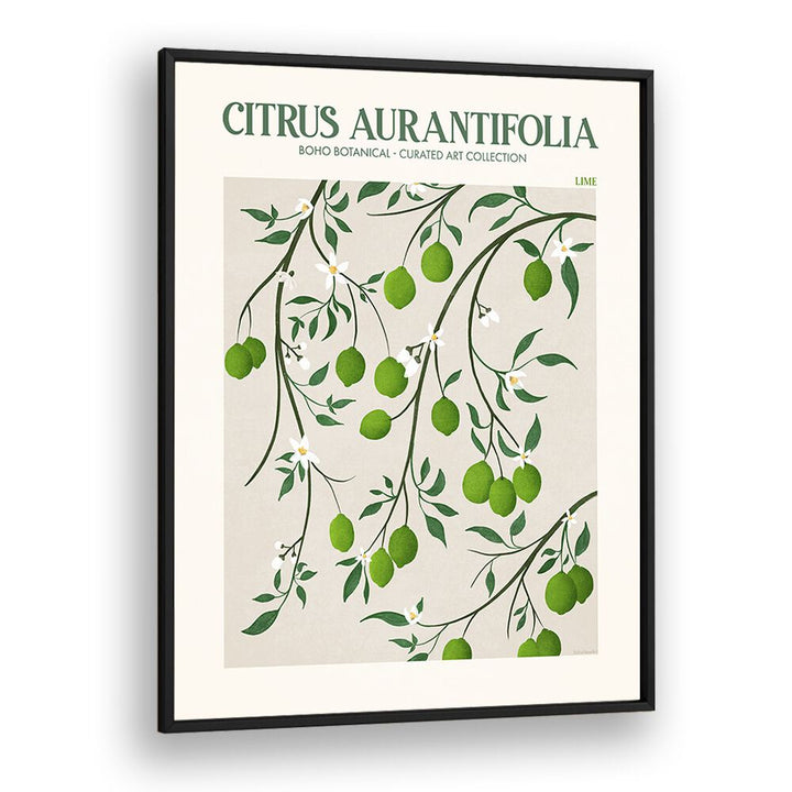 LIME, FLORAL FLOWER PAINTINGS showcase vibrant lime and floral designs by Emel Tunaboylu in a stylish black frame.