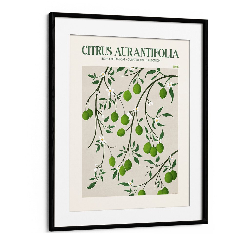 LIME, FLORAL FLOWER PAINTINGS by Emel Tunaboylu showcase vibrant green limes and elegant blossoms on canvas.