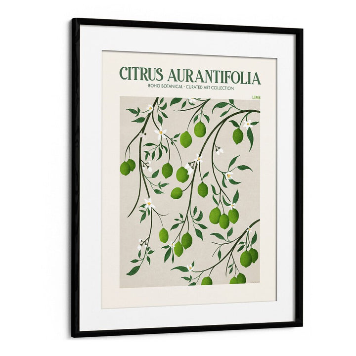 LIME, FLORAL FLOWER PAINTINGS by Emel Tunaboylu showcase vibrant green limes and elegant blossoms on canvas.