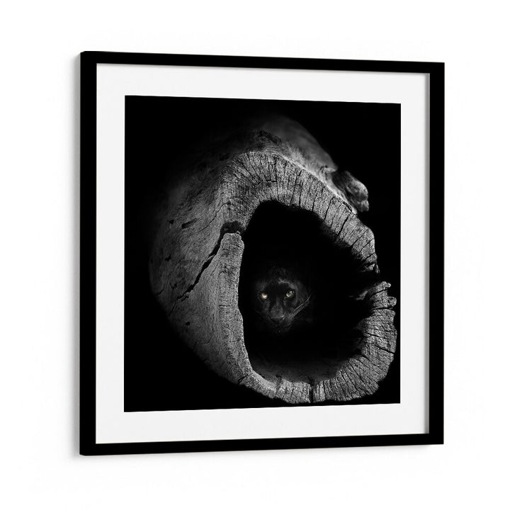 Stunning PANTHER, PHOTOGRAPHY PRINTS capture the majestic beauty of this elusive creature in a captivating display.