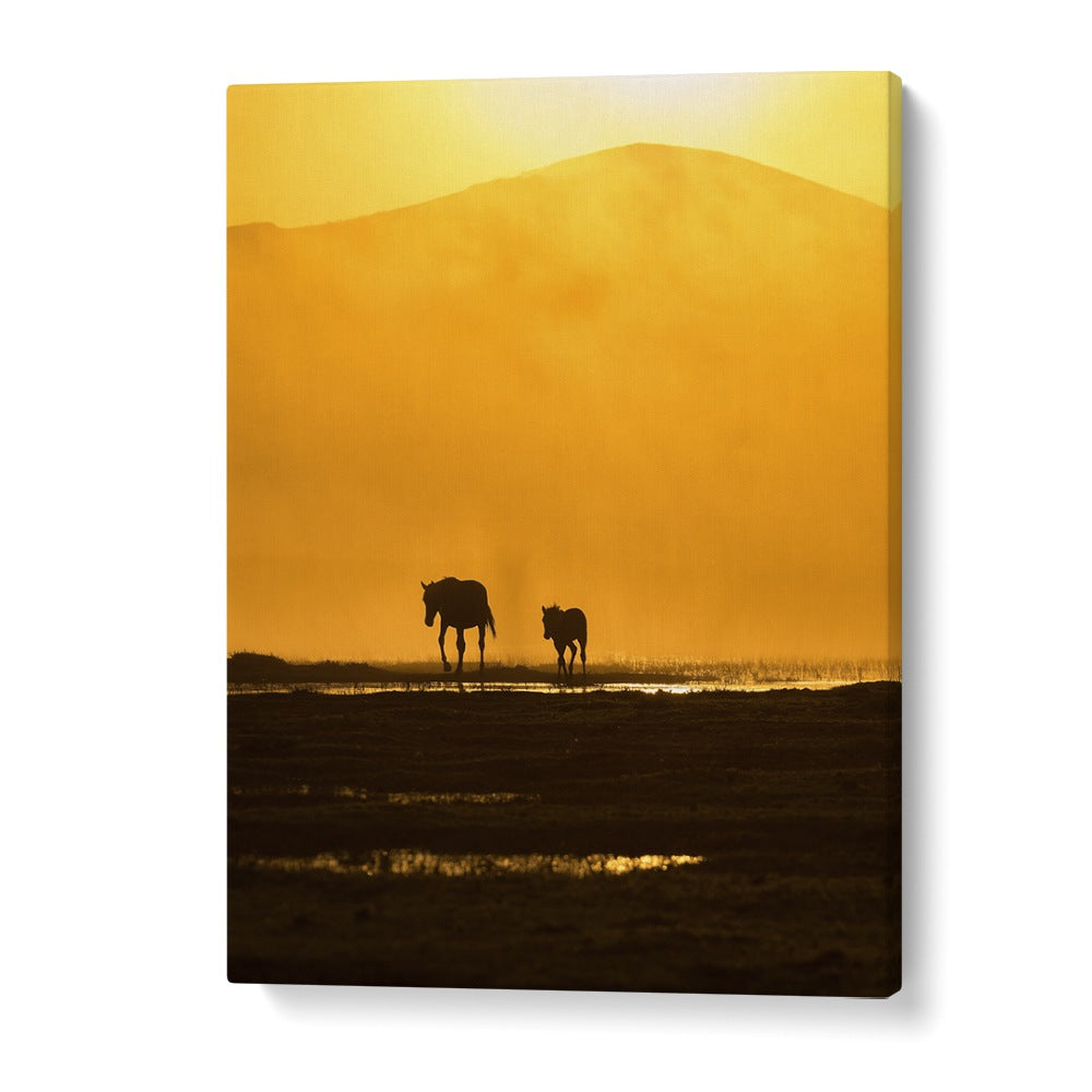 Elegant silhouettes of a horse and foal in golden light, perfect for FOLLOWING MOMMY, PHOTOGRAPHY PRINTS collection.