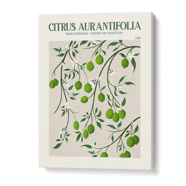 LIME, FLORAL FLOWER PAINTINGS by Emel Tunaboylu feature vibrant lime motifs on premium canvas, enhancing modern decor.