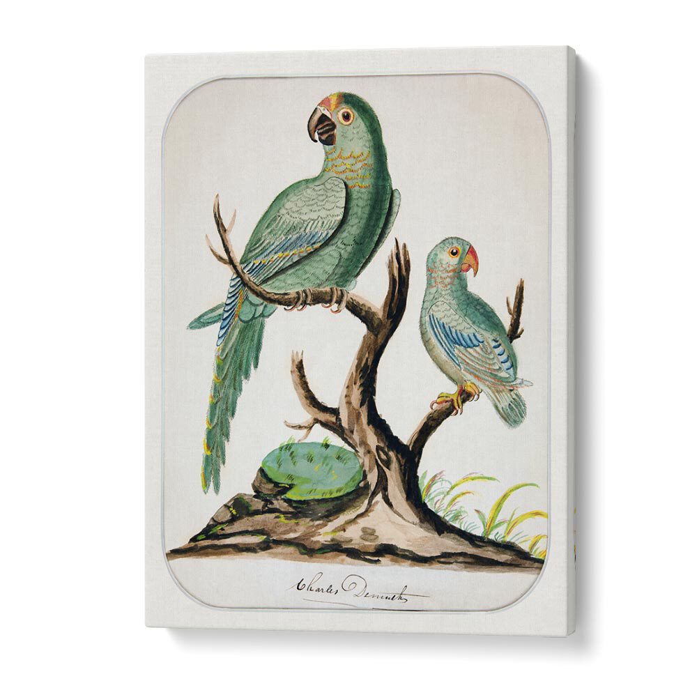 comic painting - TWO PARROTS ON A BARREN TREE (CA.1916) by Asianmonk