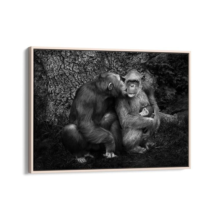 Captivating moment of wildlife showcasing love, featured in THE FAMILY, PHOTOGRAPHY PRINTS collection.