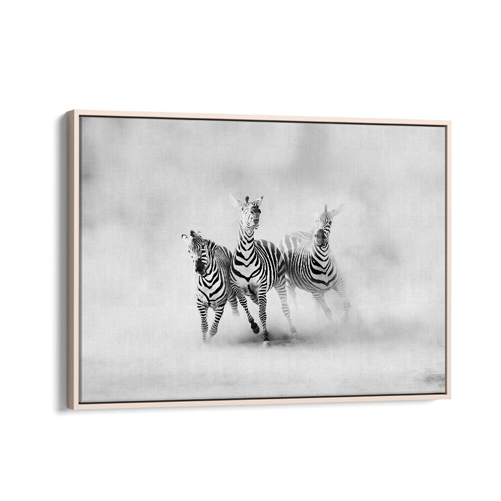 Stunning ZEBRAS , PHOTOGRAPHY PRINTS showcasing wildlife elegance and grace in a beautiful black-and-white composition.