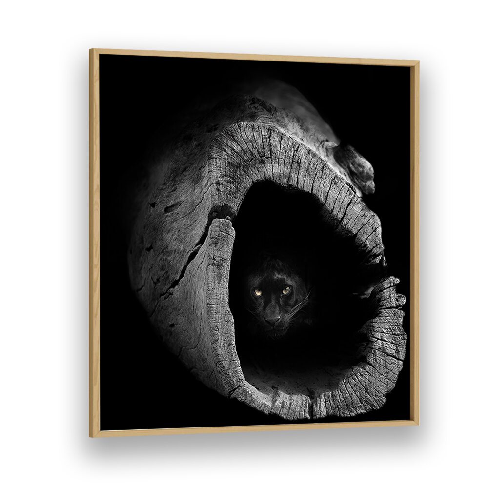 Stunning PANTHER, PHOTOGRAPHY PRINTS showcasing a panther peering from a rustic log, perfect for wildlife art lovers.