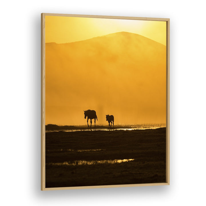 Silhouettes of a horse and foal at sunset, showcasing the bond in FOLLOWING MOMMY, PHOTOGRAPHY PRINTS.