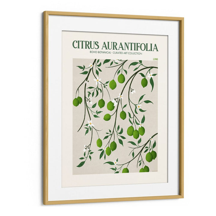 Vibrant LIME, FLORAL FLOWER PAINTINGS by Emel Tunaboylu, showcasing lush green citrus on premium canvas.