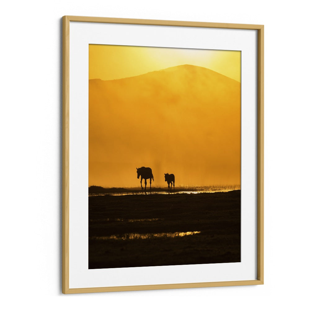 Captivating silhouettes of a mother horse and foal at sunset, featured in FOLLOWING MOMMY, PHOTOGRAPHY PRINTS collection.