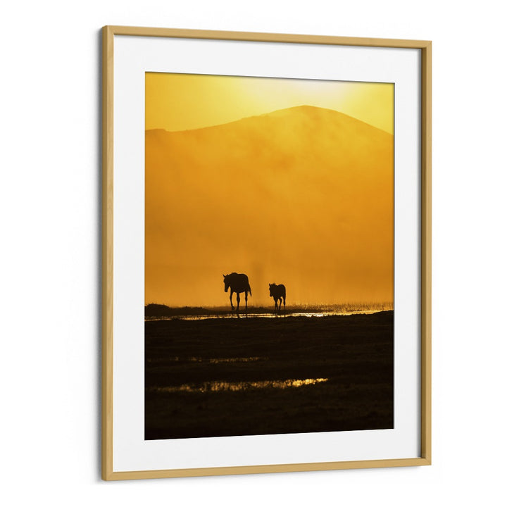 Captivating silhouettes of a mother horse and foal at sunset, featured in FOLLOWING MOMMY, PHOTOGRAPHY PRINTS collection.