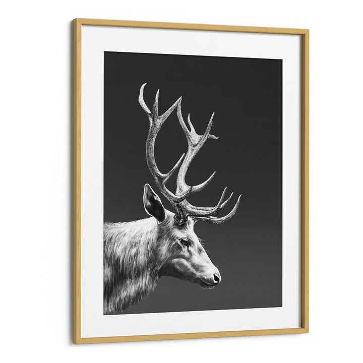 reindeer by gabriella roberg wall art prints in Oak Wood Frame With Mount