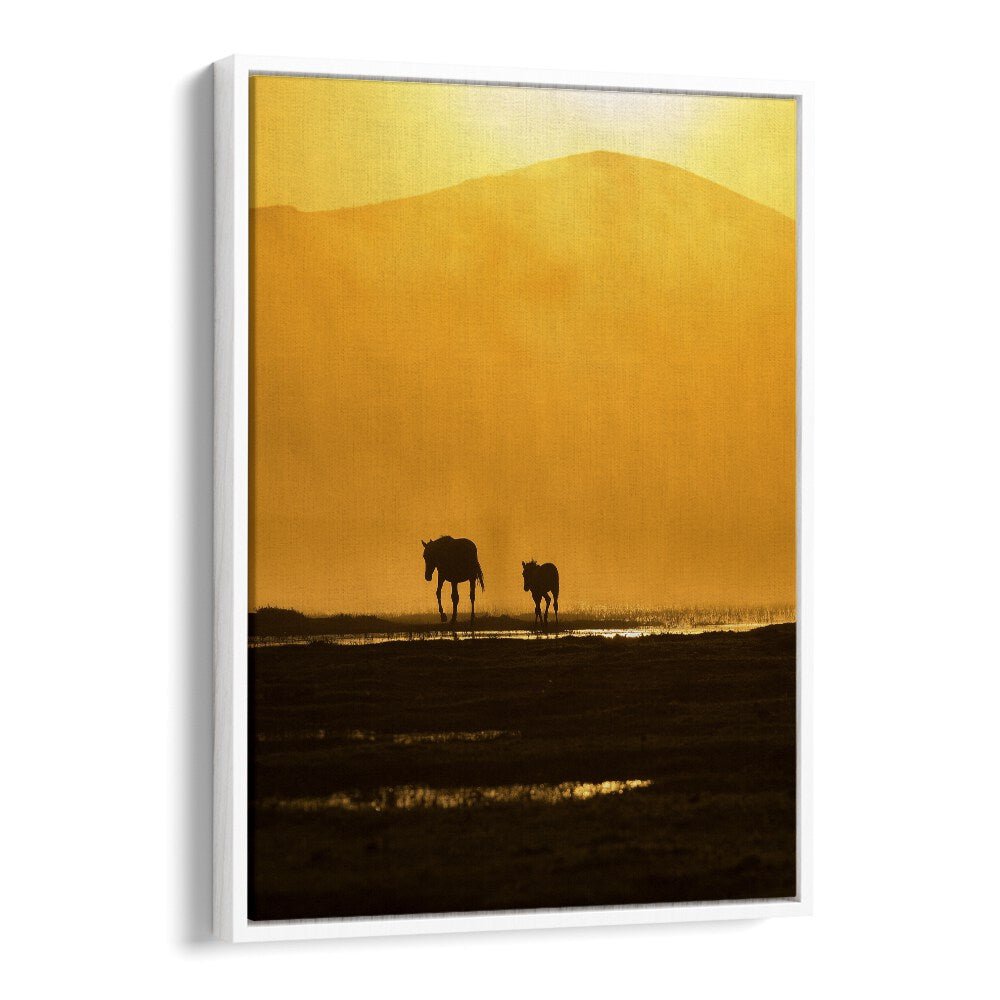 Silhouettes of a mother horse and foal against a golden sunset, perfect for FOLLOWING MOMMY, PHOTOGRAPHY PRINTS.