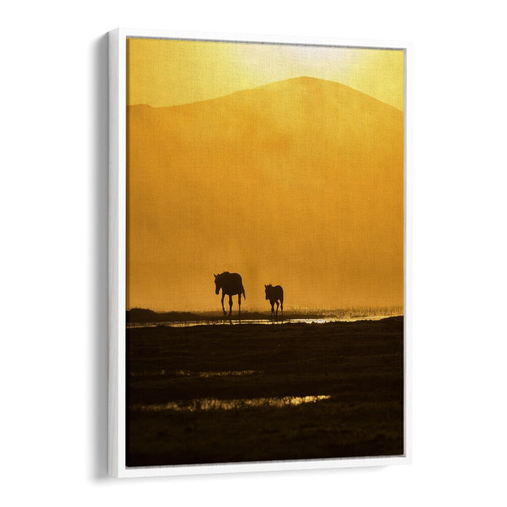 Silhouettes of a mother horse and foal against a golden sunset, perfect for FOLLOWING MOMMY, PHOTOGRAPHY PRINTS.