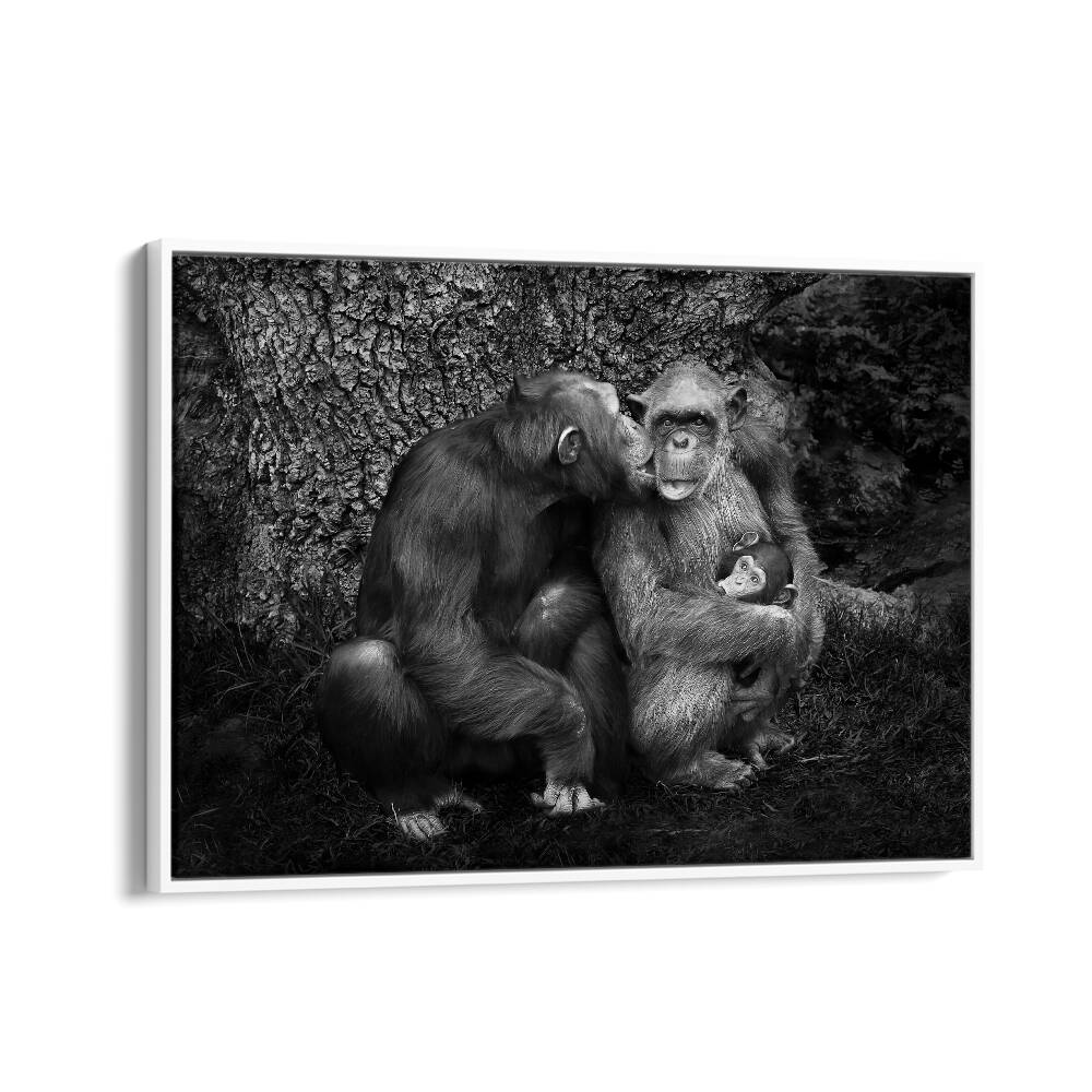 Captivating wildlife moment featuring a family of primates, part of THE FAMILY, PHOTOGRAPHY PRINTS collection.
