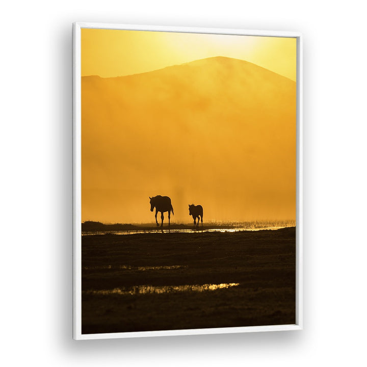 Stunning FOLLOWING MOMMY, PHOTOGRAPHY PRINTS capture a mother and foal against a golden sunset backdrop.