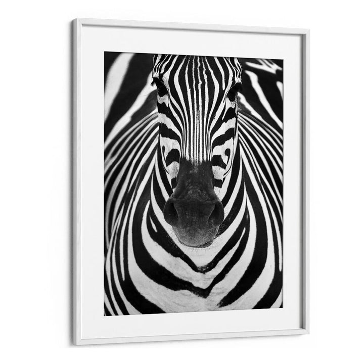 Stunning ZEBRA I, PHOTOGRAPHY PRINTS showcasing detailed black and white wildlife artistry for your home decor.