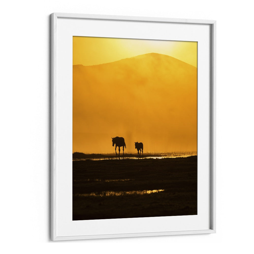 Elegant silhouette of a horse and foal at sunset, capturing the essence of FOLLOWING MOMMY, PHOTOGRAPHY PRINTS.