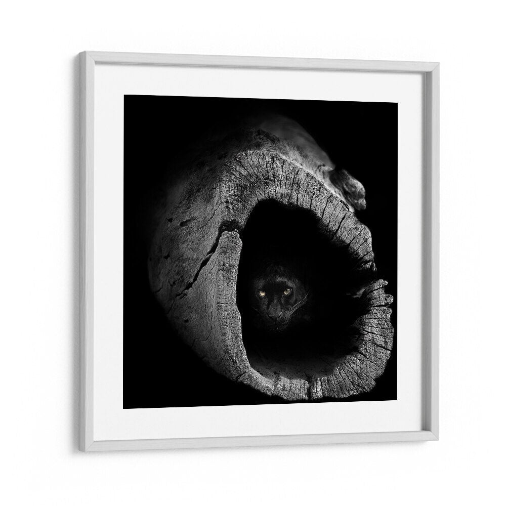 Elegant PANTHER, PHOTOGRAPHY PRINTS showcasing a majestic panther peering from a rustic log, perfect for wildlife lovers.