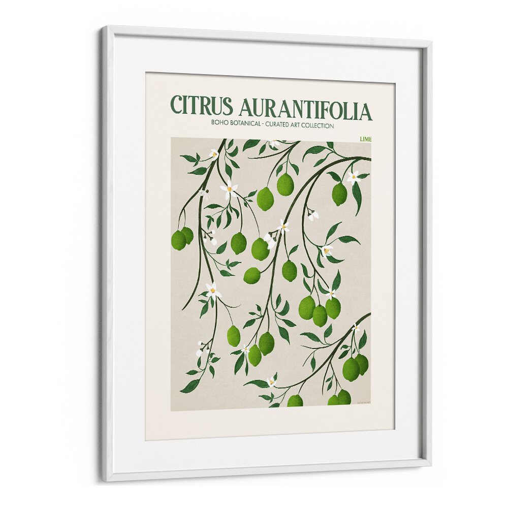 LIME, FLORAL FLOWER PAINTINGS featuring vibrant citrus designs by Emel Tunaboylu on premium canvas. Perfect for modern decor.