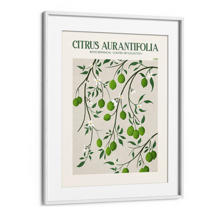 LIME, FLORAL FLOWER PAINTINGS featuring vibrant citrus designs by Emel Tunaboylu on premium canvas. Perfect for modern decor.