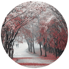 HAN DONG HEE - PHOTOGRAPHER