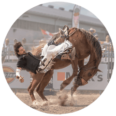 HENRY ZHAO - PHOTOGRAPHER