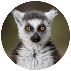 MATHILDE GUILLEMOT - PHOTOGRAPHER