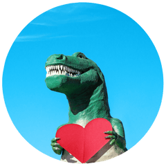 TOM WINDEKNECHT - PHOTOGRAPHER