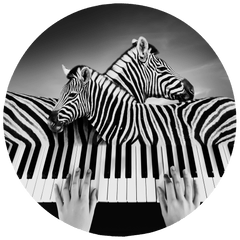 XIBIAO HUANG - PHOTOGRAPHER