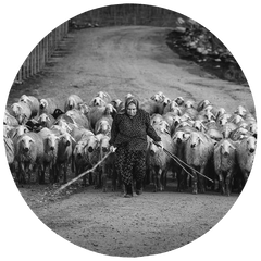 YAVUZ PANCAREKEN - PHOTOGRAPHER