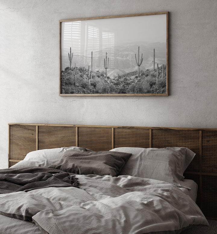 WESTERN CACTUS , COWBOY & MODERN AMERICANA PAINTINGS