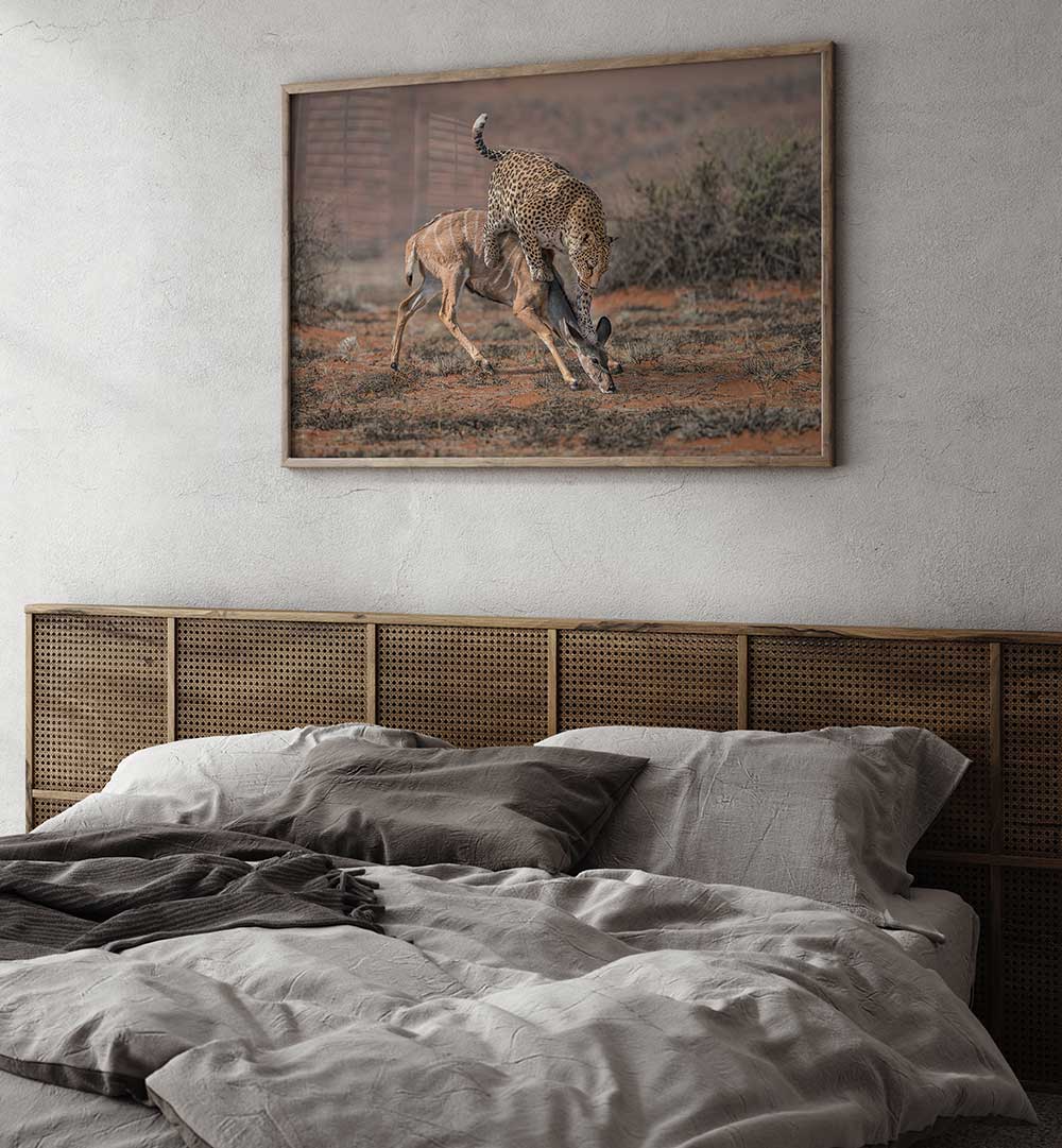 LEOPARD HUNTING  , PHOTOGRAPHY PRINTS
