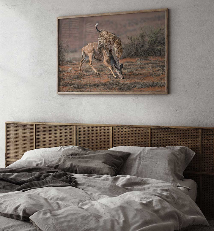 LEOPARD HUNTING  , PHOTOGRAPHY PRINTS