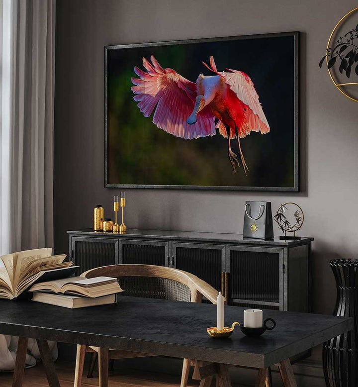 ROSEATE SPOONBILL , PHOTOGRAPHY PRINTS