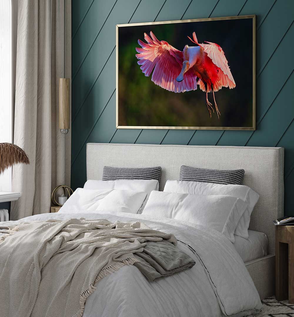 ROSEATE SPOONBILL , PHOTOGRAPHY PRINTS