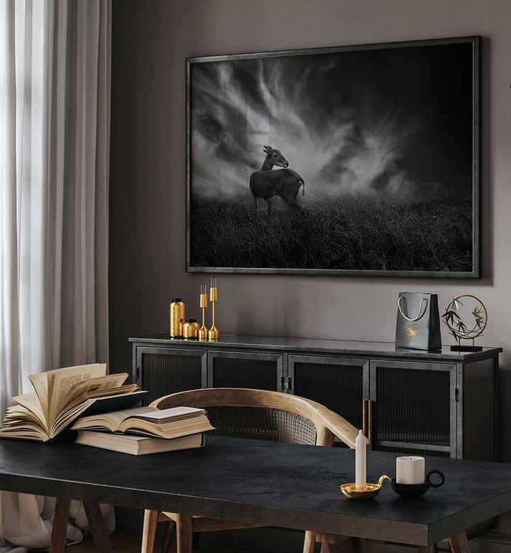 CURIOSITY , PHOTOGRAPHY PRINTS