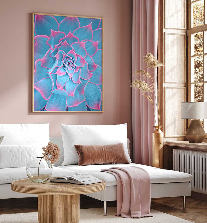 BLUE AND PINK SUCCULENT , PHOTOGRAPHY PRINTS
