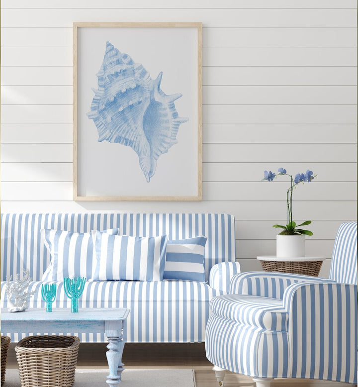 Stunning ONE BLUE CONCH, BEACH PAINTINGS framed art adds coastal charm to your living space with oceanic beauty.