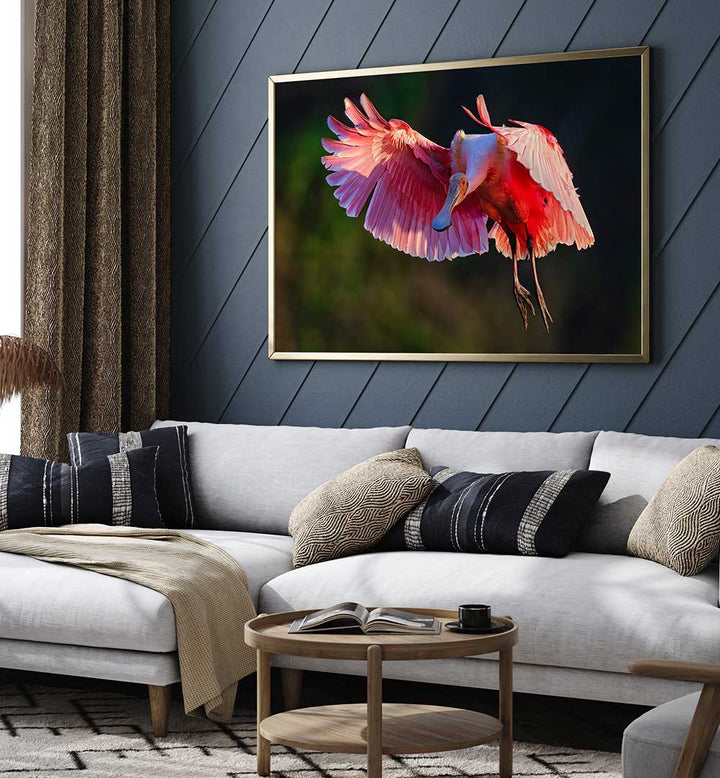ROSEATE SPOONBILL , PHOTOGRAPHY PRINTS