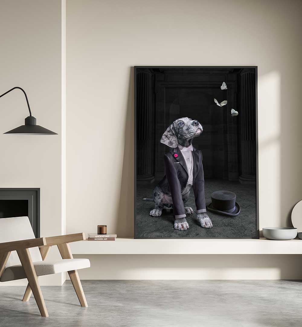 LORD DOG  , PHOTOGRAPHY PRINTS