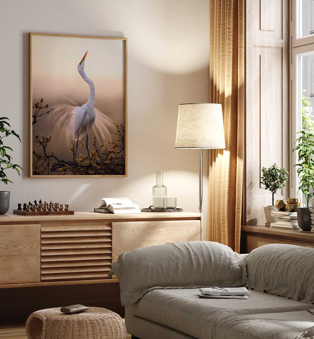 SOLO DANCE , PHOTOGRAPHY PRINTS