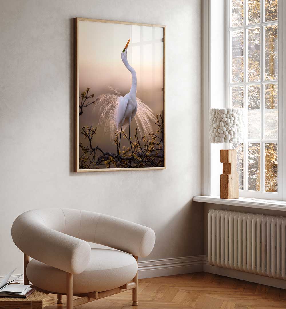 SOLO DANCE , PHOTOGRAPHY PRINTS