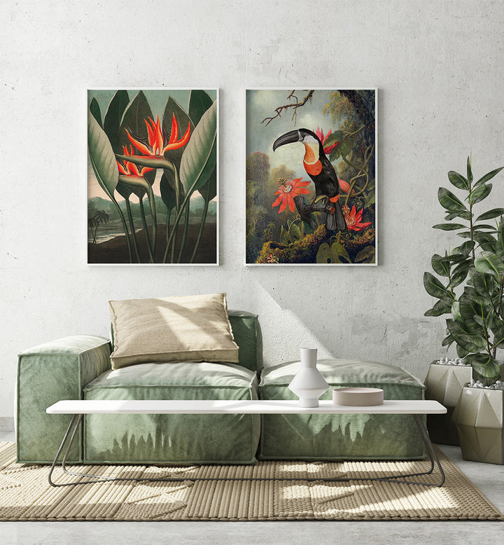 Living room with green sofa, white coffee table, and two framed artworks of a toucan and bird of paradise on the wall.