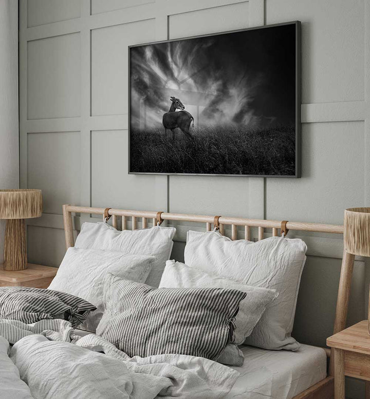 CURIOSITY , PHOTOGRAPHY PRINTS