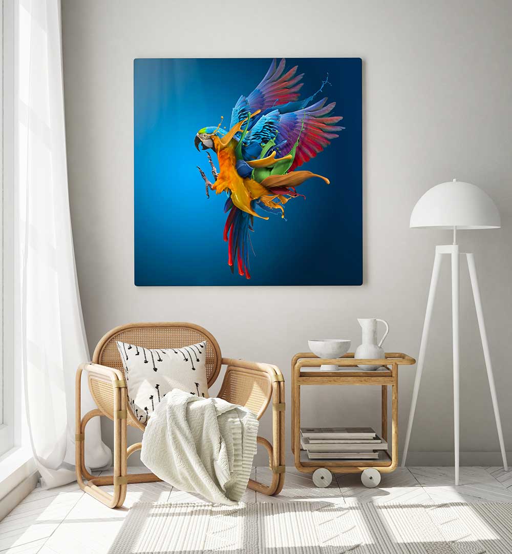 FLYING COLOURS , PHOTOGRAPHY PRINTS