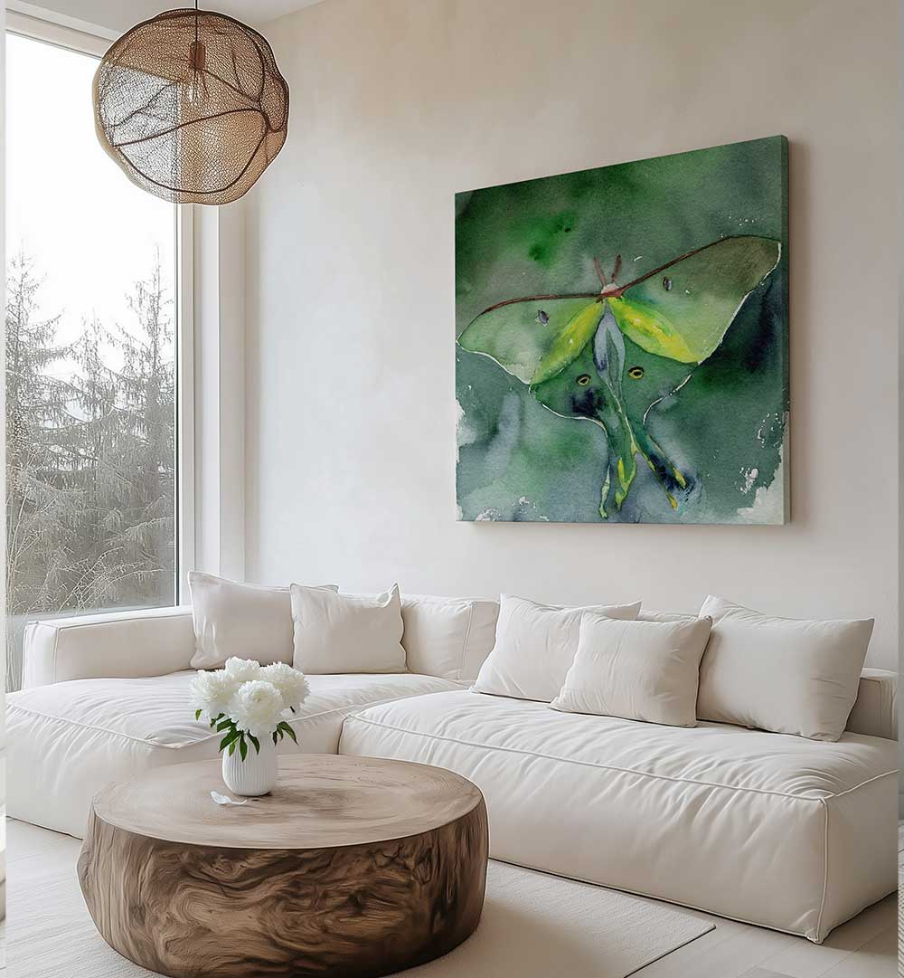 LUNA MOTH , ANIMAL PAINTINGS