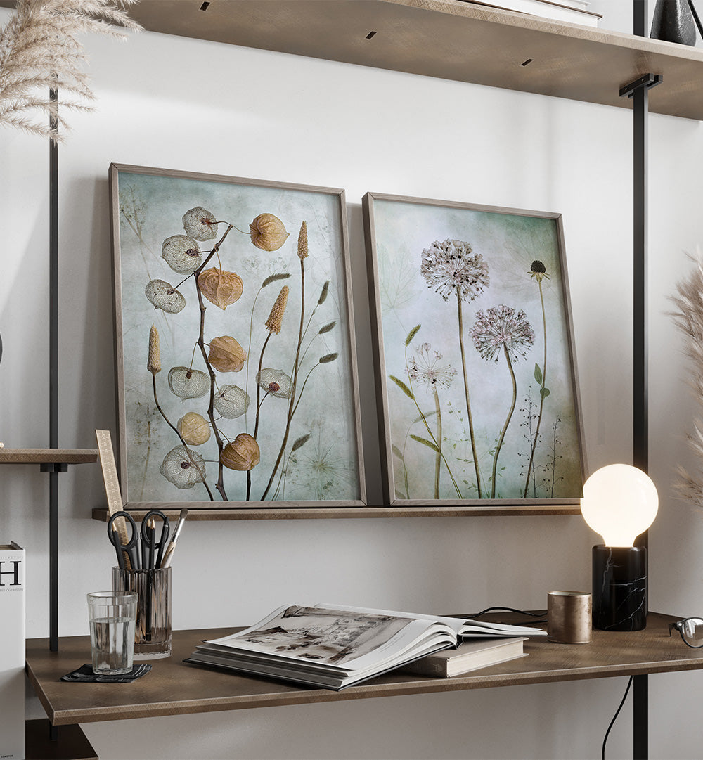 CURATED HERBARIUM SET , SET OF 2 PAINTINGS