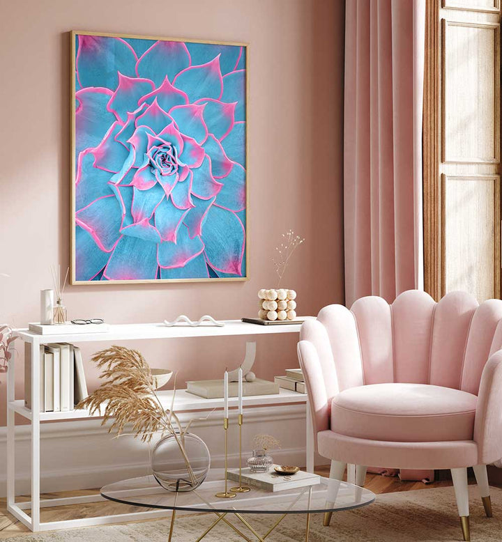 BLUE AND PINK SUCCULENT , PHOTOGRAPHY PRINTS