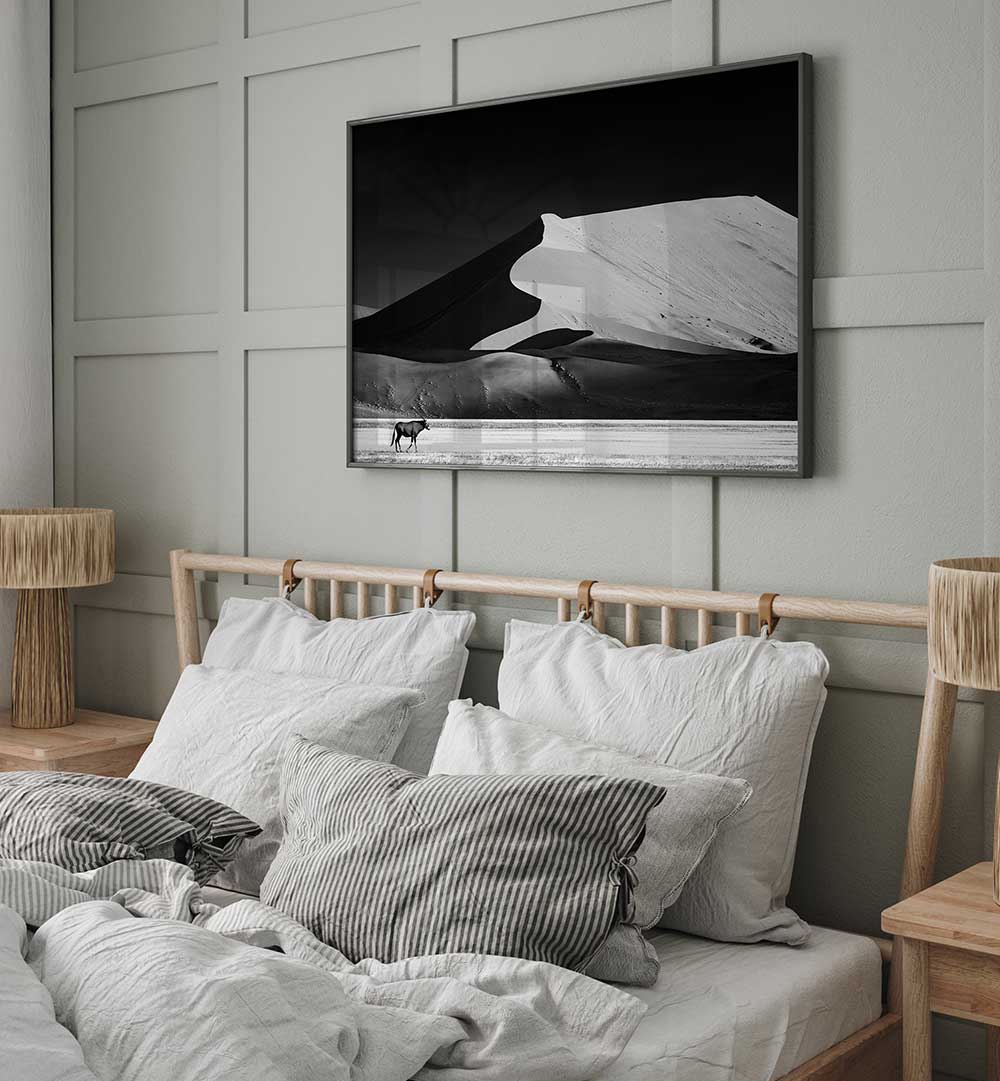 THE SOLITARY , PHOTOGRAPHY PRINTS