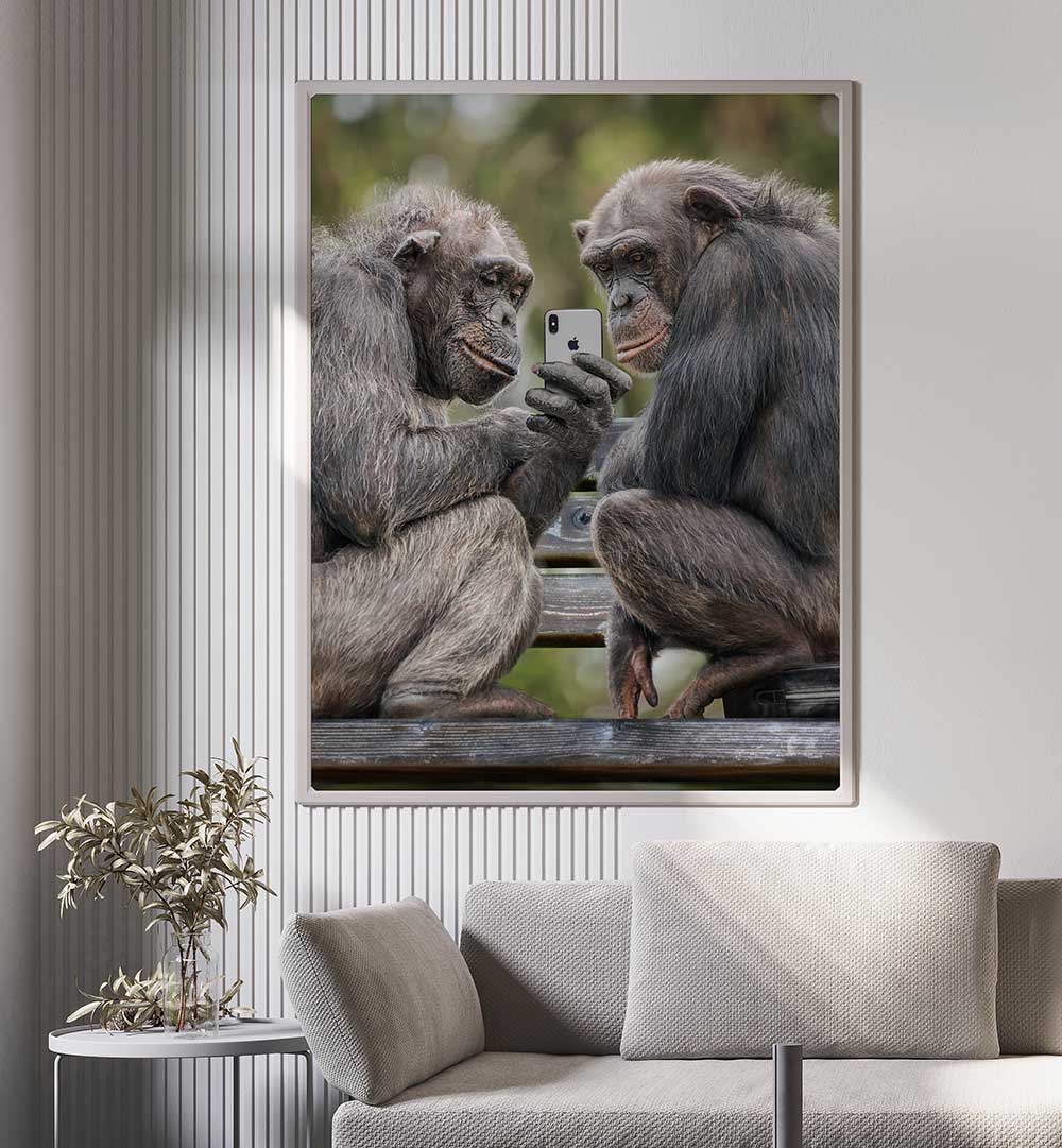 MONKEY PHONE , PHOTOGRAPHY PRINTS
